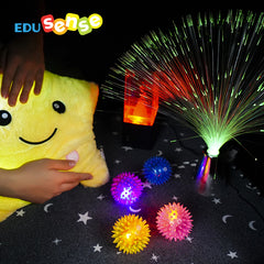 Edusense Sensory Tent Toys(6 pieces)