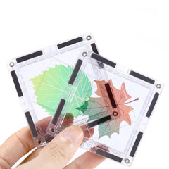 Edusense Clear Magnetic Tile With Flower Stickers