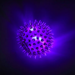 Edusense Sensory Tent Toys(6 pieces)