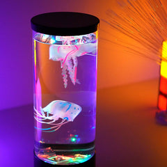 Edusense Table lamp set (5 Pieces)