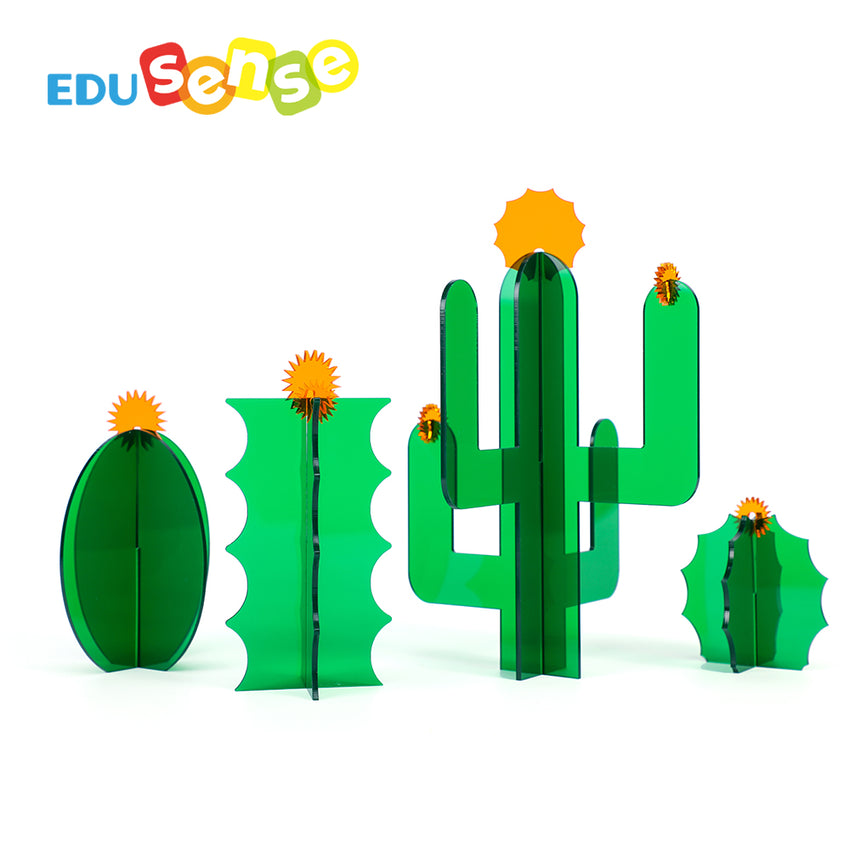 Edusense Acrylic Cactus Building Blocks