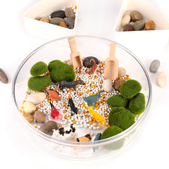 Edusense Montessori Sensory Box Learning Counting Sorting Tray Toy