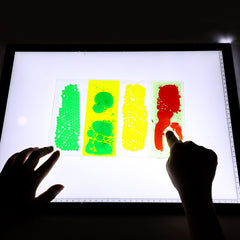 Edusense Sensory Liquid Motion Visual Oil Pad Fidget Educational Toy